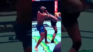 САМЫЙ КРАСИВЫЙ НОКАУТ В ИСТОРИИ ВЫРУБИЛ НАГЛУХО #mma #khabib #tyson #новости #ufc #мма #conor #new