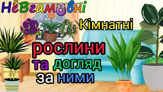 Кімнатні рослини та догляд за ними. Дитина в природньому довкіллі.