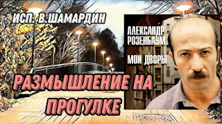 Размышление на прогулке (А.Розенбаум). Исп. В.Шамардин