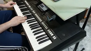 Mr. Credo “Чудная долина“ на синтезаторе Yamaha PSR S775