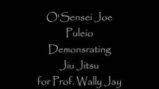 Joe Puleio 1987 Demonstrating Jiu Jitsu for thr GREAT WALLY JAY