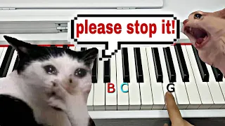 Three notes that will make even cats cry...