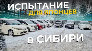 Холодный тест - прогреваем салон!! Автобусы в мороз!!!