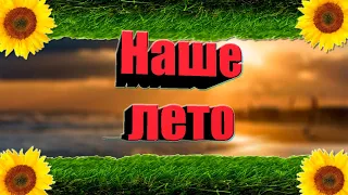 Валентин Стрыкало "НАШЕ ЛЕТО" (текст песни)