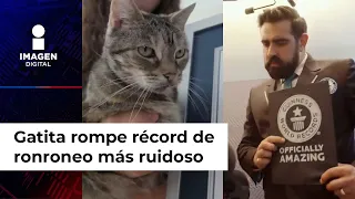 Bella, la 'michi' con el ronroneo más ruidoso del mundo... y ya tiene el Récord Guinness