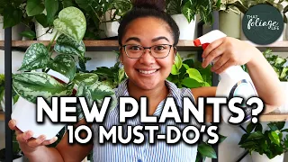 10 MUST-do's for your New Plants! | Plant Care 101