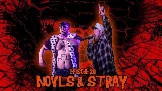 Episode #20 - Stray & Novls