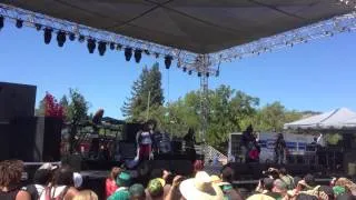 Protoje live from 2013 SNWMF