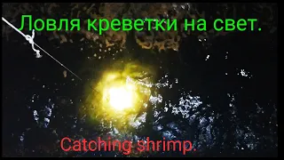 Ловля креветки ночью на свет. Способ №1./Catching shrimp is at night on light. Method №1. Fishining.