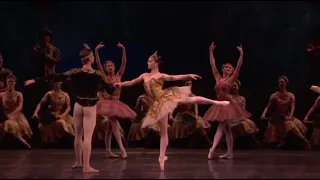 LA BAYADÈRE - Pas de Deux Gamzatti & Solor (Natalia Osipova & Vadim Muntagirov - Royal Ballet)