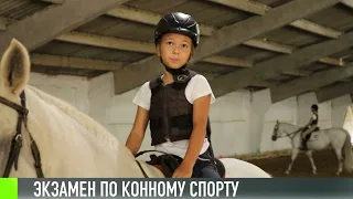 Экзамен в конном клубе