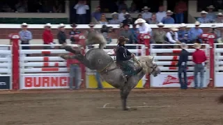 Road to Victory: All the WINNERS of Pool A of The Calgary Stampede | 2019