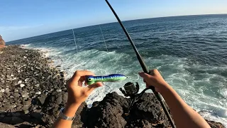 Plugging 2 Whipping - Hawaii Fishing Sesh