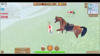 How to get snowballs in wild horse islands roblox