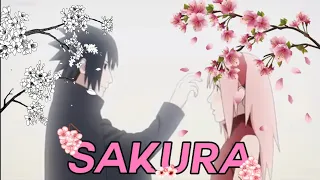 Sakura (Lossa2Squa)[AMV]