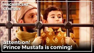 Prince Mustafa Watching Him Dad | Magnificent Century