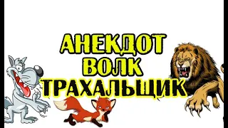 АНЕКДОТ ПРО ВОЛКА И ЛИСУ. НОВЫЙ АНЕКДОТ.