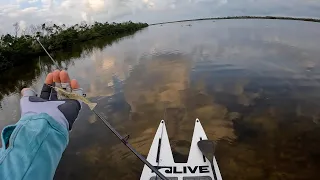 Do artificial shrimp catch Redfish??? Paddleboard fishing on my LIVEwatersports L4. #shorts