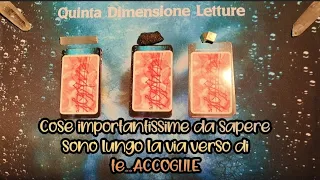 🔮Cose importantissime da sapere adesso #tarocchi #interattivo