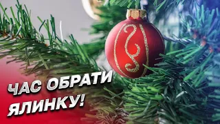 🎄 Ялинкові ярмарки відкриті! Де їх шукати та які ціни на дерева?