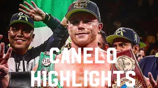 Canelo Alvarez Highlights