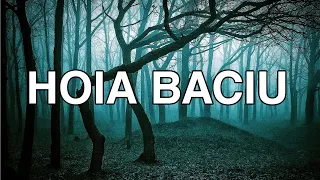 HOIA BACIU THE WORLDS MOST HAUNTED FOREST TRANSYLVANIA