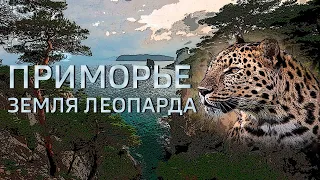 Приморье  Земля леопарда