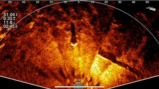 Garmin Livescope Perspective Mode: What Are We Seeing?!?!? Bream Beds, Logs, Stumps, Grass Beds