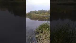 Река Урал. Места детства.