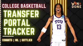 College Basketball Transfer Portal | Almonor to Kentucky | Trazarien White | Gottlieb to Green Bay