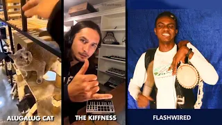 Alugalug Cat X The Kiffness X Flashwired  (Creative Remix)