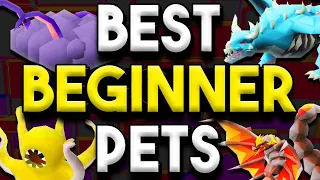 Best Starter Pets To Hunt In Old School Runescape