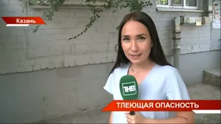 Новости Татарстан от 09/08/22 - ТНВ