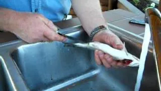 How To Clean Trout | With Designer Tom Veff