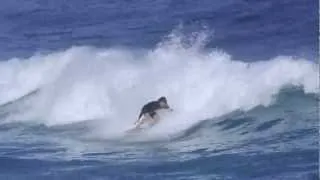 MATT MEOLA o'neill surf team (HD)