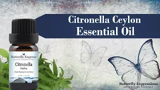 Citronella Ceylon Essential Oil