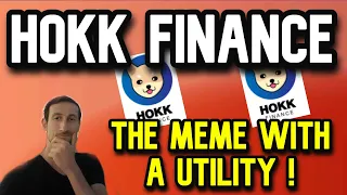 Hokk Finance Explained | The Meme With A Special Utility !