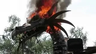 Dragon's head bursts into flames during Walt Disney World parade