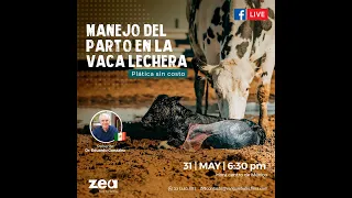 𝐌𝐚𝐧𝐞𝐣𝐨 𝐝𝐞𝐥 𝐩𝐚𝐫𝐭𝐨 𝐞𝐧 𝐥𝐚 𝐯𝐚𝐜𝐚 𝐥𝐞𝐜𝐡𝐞𝐫𝐚🐄 presentado por MC. Eduardo González Covarrubias 😎