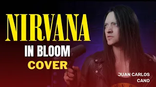 Nirvana - In Bloom (acoustic cover by Juan Carlos Cano)