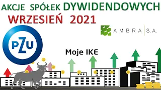 25. Moje IKE - Wrzesień 2021 - PZU, Ambra - inwestowanie w akcje, dywidendy