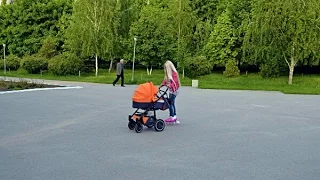 Тренировка с коляской во время прогулки. / Training with a  baby stroller during the walk