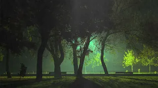 💤Overcome insomnia in 5 minutes with heavy rain in a rainy park, rain sound ASMR lullaby white noise