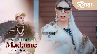 Mc Kako - Cachorro de Madame (Video Clipe Oficial) Dj Jr no Beat