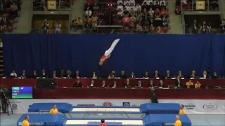 Gao Lei vs the World-Trampoline World Championships 2017