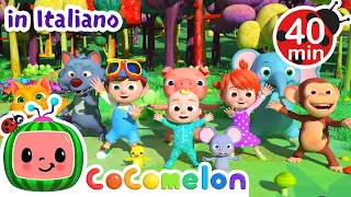 Il ballo degli animali | CoComelon Italiano - Canzoni per Bambini