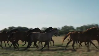 Brutalmente macia: nova S10 satisfaz vida no campo, aventura e família