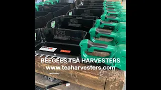 Making of Beegees Tea Harvesters