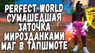 PERFECT WORLD - СУМАШЕДШАЯ ЗАТОЧКА МИРОЗДАНКАМИ, СДЕЛАЛИ +7 С НУЛЯ НА ИЗИ | МАГ УЖЕ В ТАП ШМОТЕ