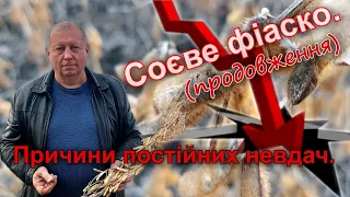 Соєве фіаско (продовження). Причини постійних невдач.